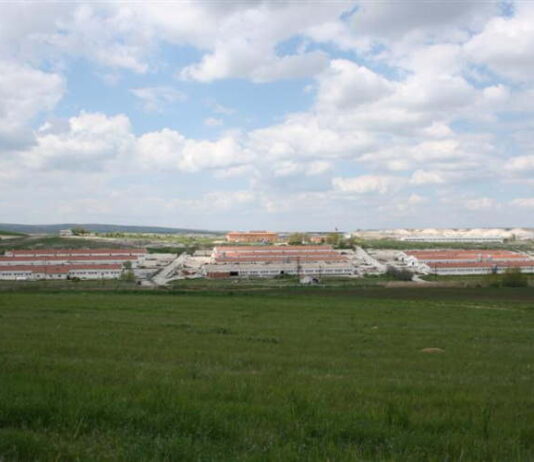 Tavukçuluk Araştırma Enstitüsü