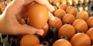 Yumurta, Bağışıklığı Güçlendirecek Öneriler Arasında