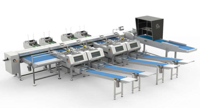 yumurta-tasnifleme-ve-violleme-sistemi